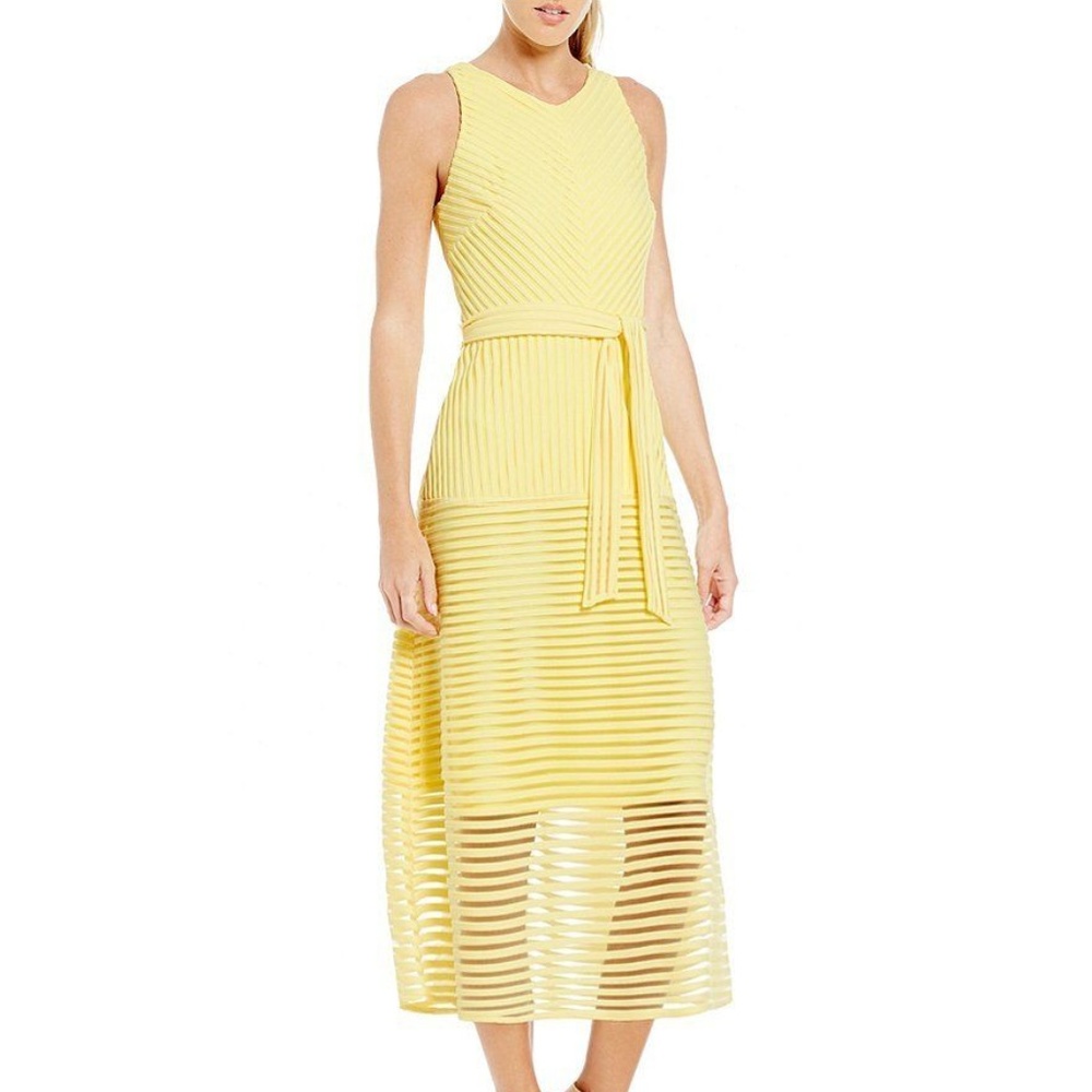 Antonio Melani Enid Sleeveless Striped Mesh Dress